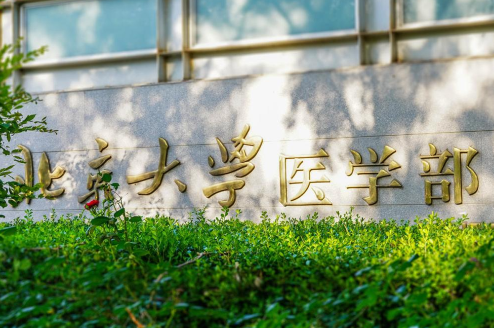 齊魯醫藥學院影像學專業錄取分數線_2023齊魯醫藥學院錄取分數線_齊魯醫藥學院 專科分數