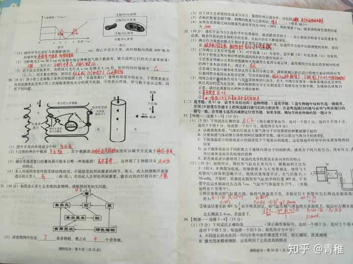 快速提高立定跳遠成績_怎么提高物理成績_怎么快速提高英語成績