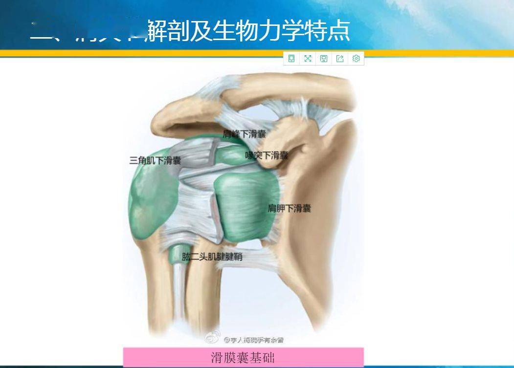 彈力帶肩內旋_彈力帶肩外旋怎么做_彈力帶肩環繞