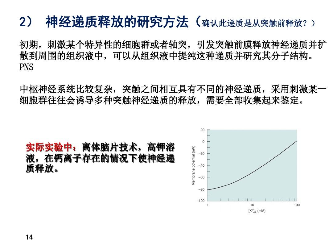 鉀通道阻滯劑及開放劑_ⅲ類鉀通道阻滯劑的是_鉀通道阻滯劑作用機制