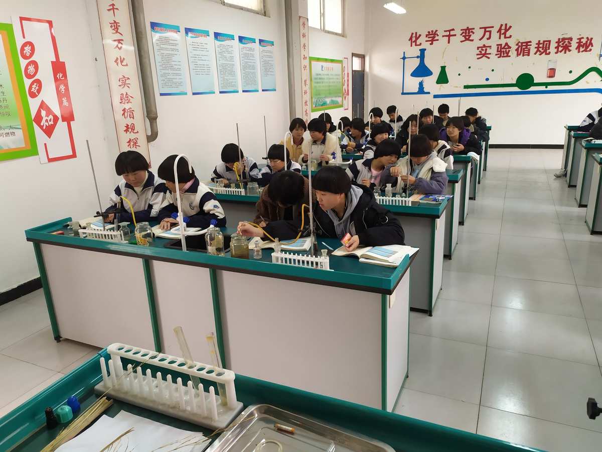 高一物理實(shí)驗(yàn)_高一物理實(shí)驗(yàn)視頻_高一物理實(shí)驗(yàn)總結(jié)