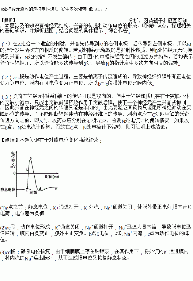 細(xì)胞膜內(nèi)負(fù)電位向減小的方向變化稱為_(kāi)細(xì)胞膜內(nèi)的負(fù)電位減小_細(xì)胞膜內(nèi)電位負(fù)值減小稱為