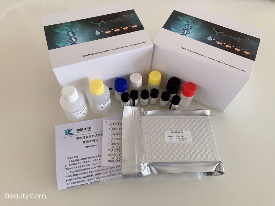 細胞膜片層結構模型_細胞膜片鉗技術_細胞膜片