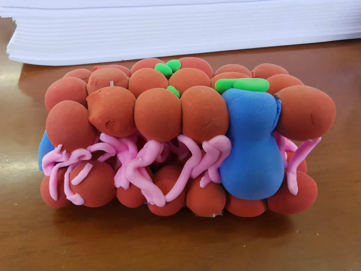 腎小球系膜細(xì)胞_ps手機(jī)鋼化膜膜怎么制作_細(xì)胞膜模型制作