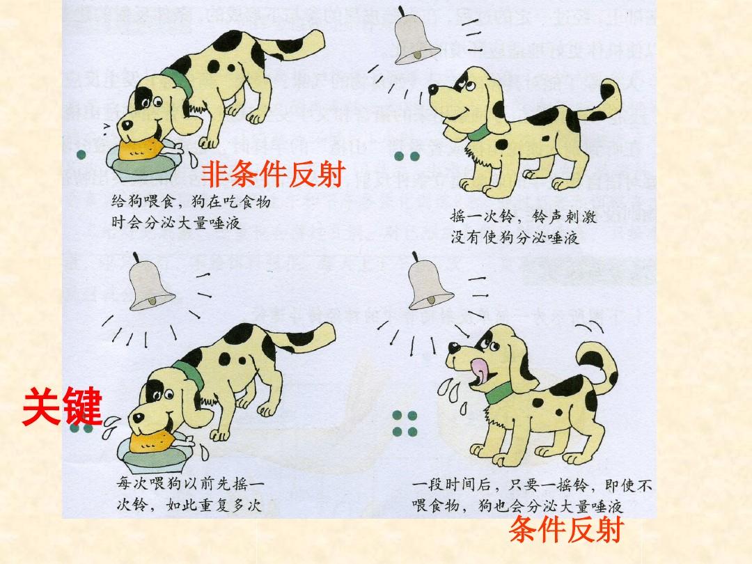 物理八年級(jí)上冊前三章知識(shí)點(diǎn)_物理八年級(jí)上冊前三章知識(shí)點(diǎn)_物理八年級(jí)上冊前三章知識(shí)點(diǎn)
