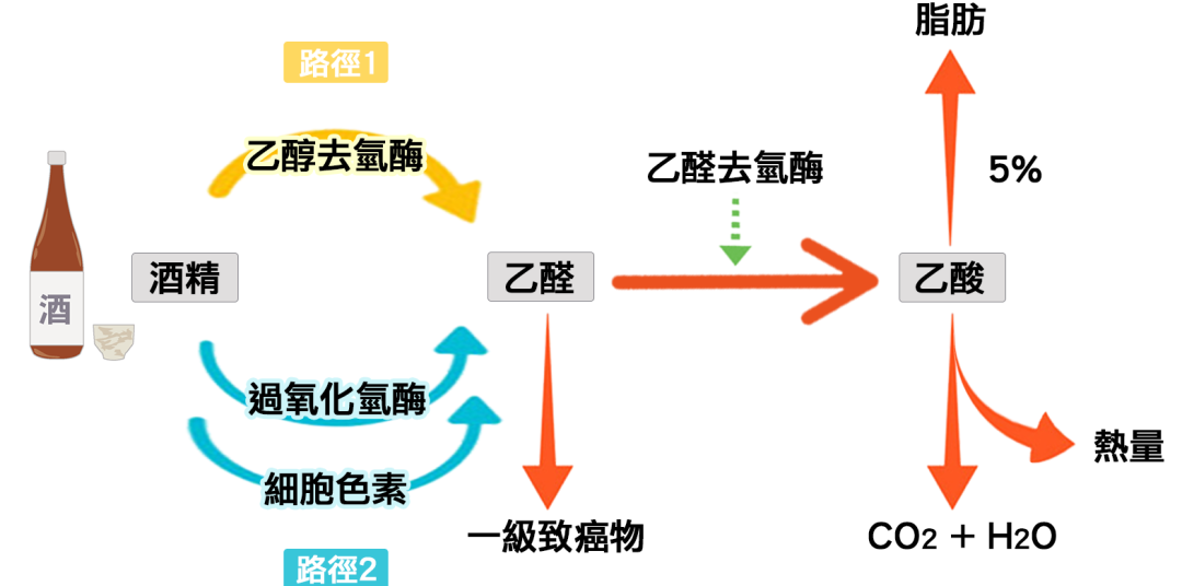 乙醇催化氧化實驗報告_乙醇的催化氧化實驗視頻_催化氧化反應乙醇