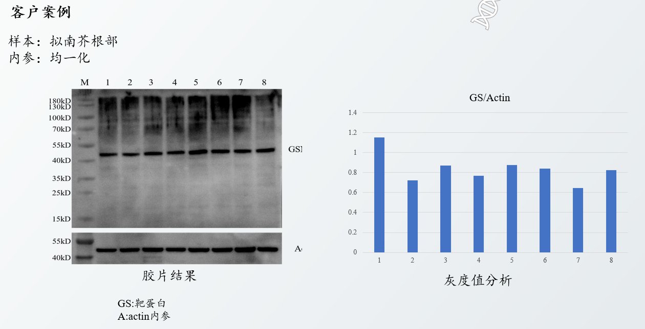 細(xì)胞膜蛋白是胞內(nèi)蛋白嗎_細(xì)胞的膜蛋白_細(xì)胞膜蛋白