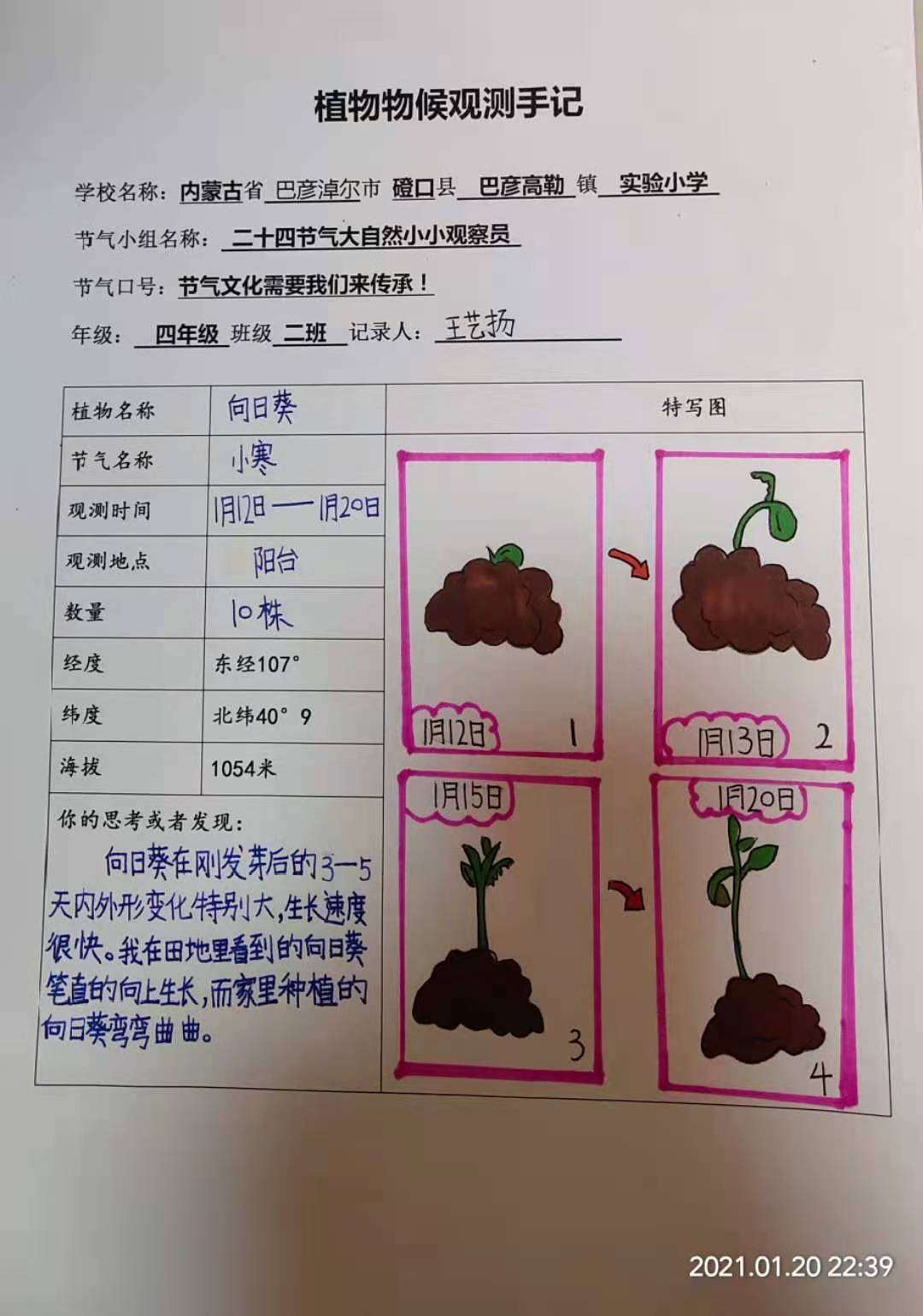 實(shí)驗(yàn)觀察種子的結(jié)構(gòu)視頻_種子的實(shí)驗(yàn)視頻_觀察種子的結(jié)構(gòu)實(shí)驗(yàn)視頻