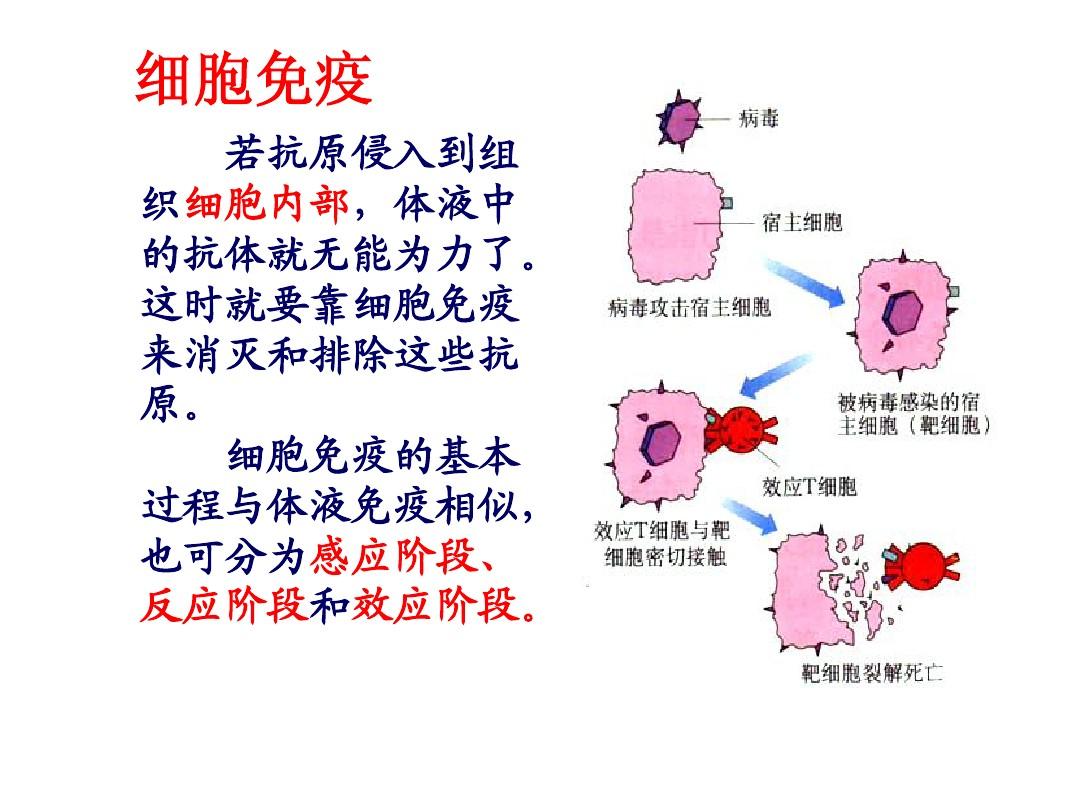 細(xì)胞膜抗原_細(xì)胞膜抗原功能_細(xì)胞膜抗原分化檢測結(jié)果分析