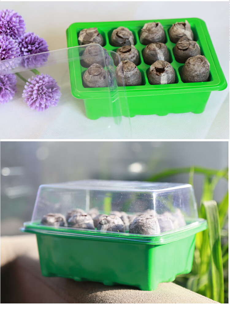種子發芽實驗視頻_種子發芽視頻素材_視頻發芽種子實驗怎么做