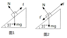 彈力在生活中有哪些應(yīng)用_彈力在生活中的應(yīng)用舉五例_應(yīng)用彈力生活有中文版嗎
