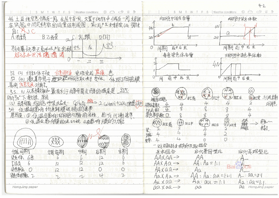 初中物理怎么快速提高成績_物理初中成績快速提高的辦法_初中物理如何快速提高成績