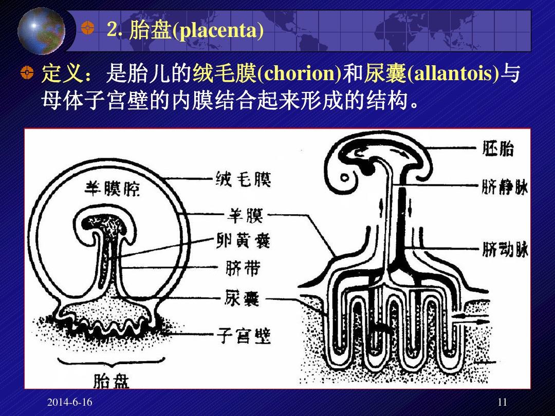 細(xì)胞膜流動(dòng)性表現(xiàn)在哪里_細(xì)胞膜流動(dòng)性_細(xì)胞膜流動(dòng)性定義