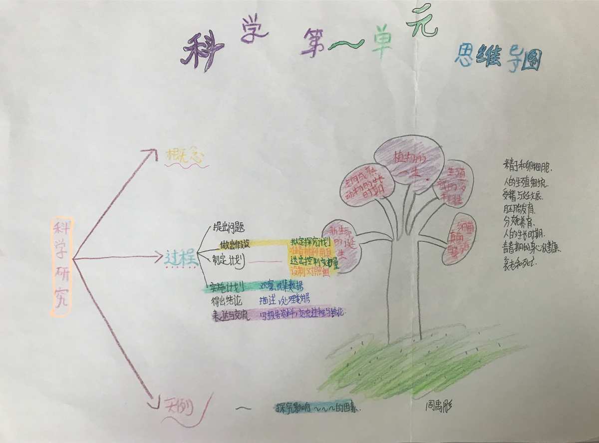 cad建筑圖紙導圖導不進_光現象的思維導圖完整_雨的四季思維結構導圖