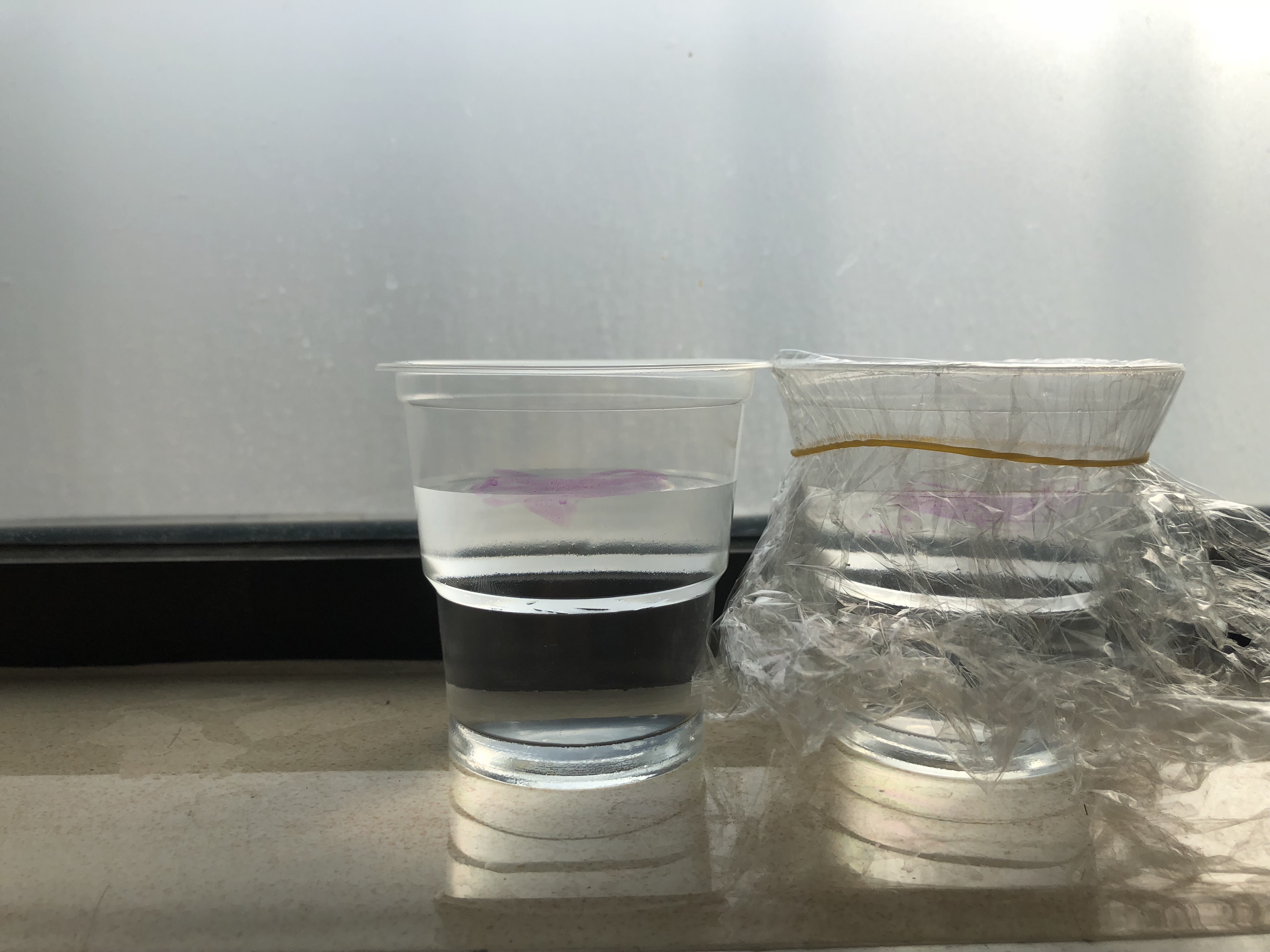水的密度的科學(xué)意義_農(nóng)業(yè)、生態(tài)水安全及寒區(qū)水科學(xué)_草魚科學(xué)養(yǎng)殖密度