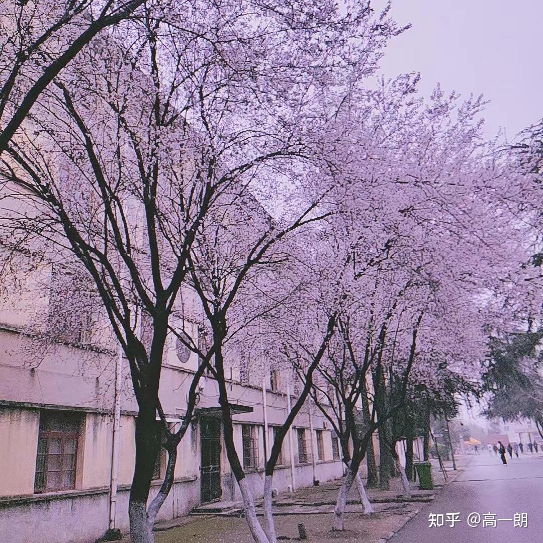 阜陽師范學院地址