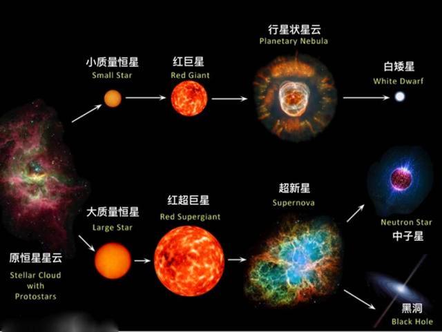 密度與質量的關系