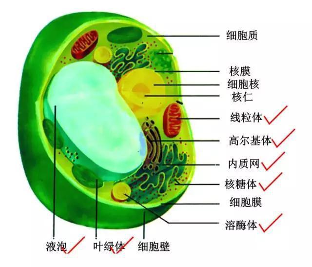 硫的相對原子質量