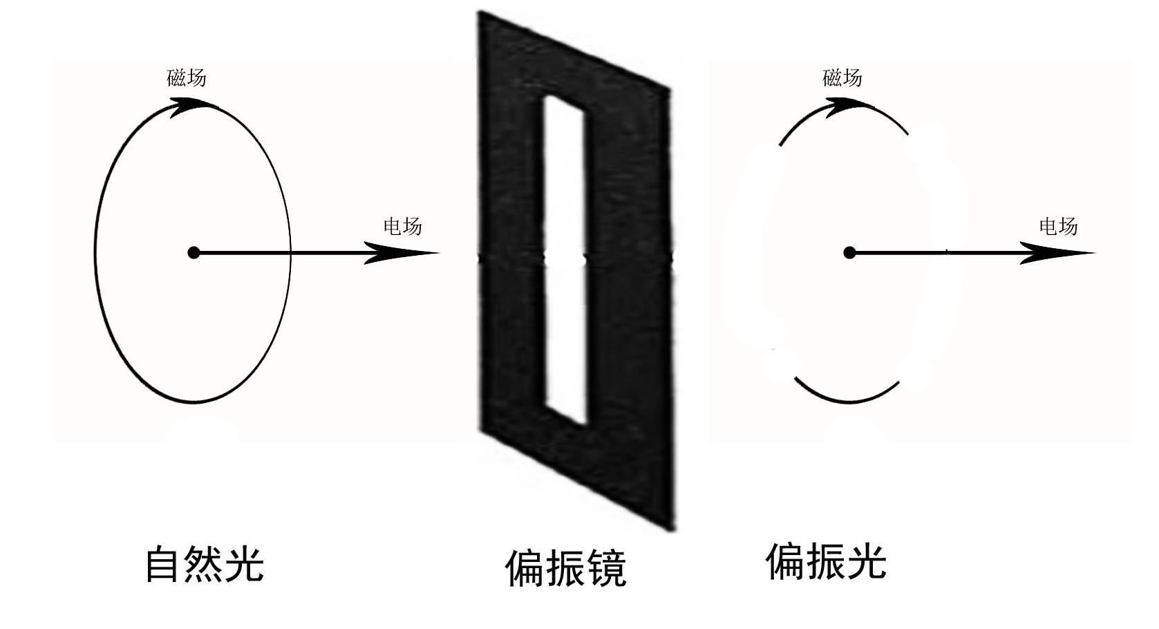 電場和磁場的關系