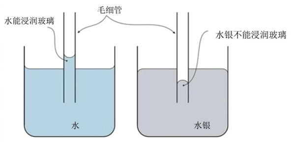 水的毛細現(xiàn)象