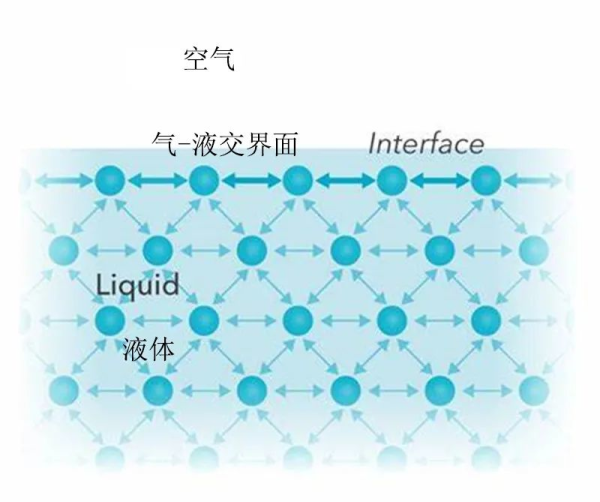 水的毛細現(xiàn)象