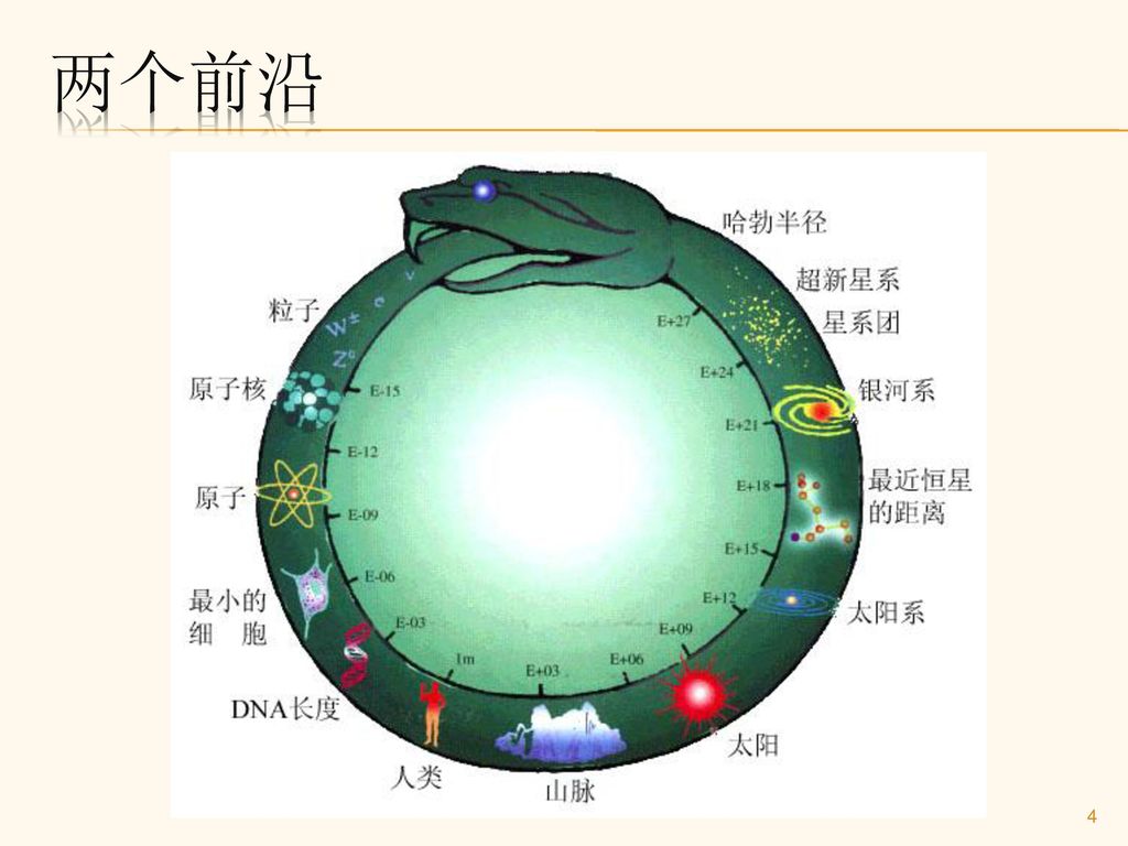 衰變常數