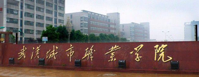 湖北科技職業(yè)學(xué)院分?jǐn)?shù)線