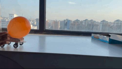 毛細現象的例子