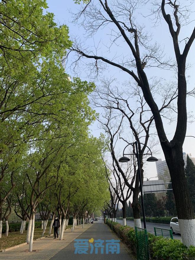 中學學科網物理學科網