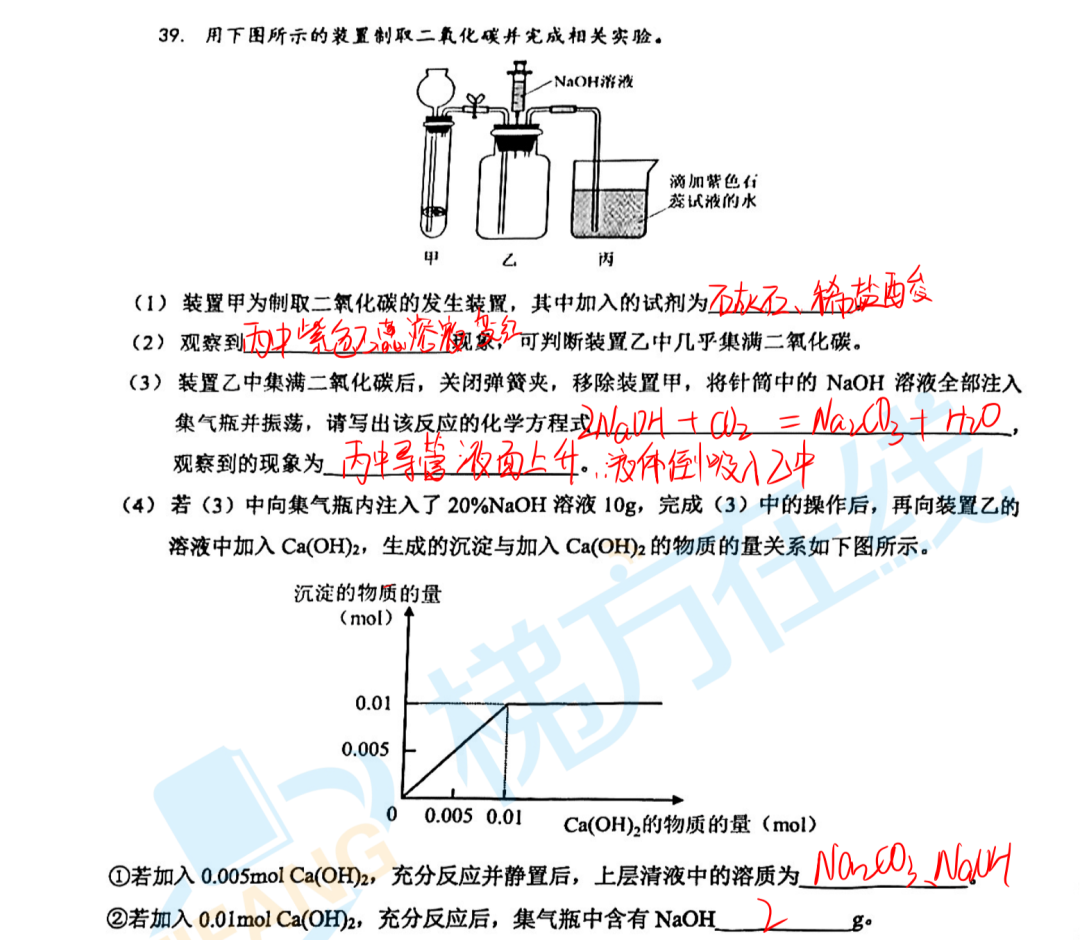 楊浦物理2024三模初中
