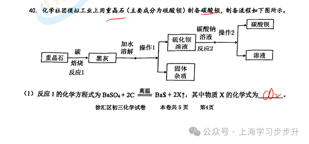 楊浦物理2024三模初中