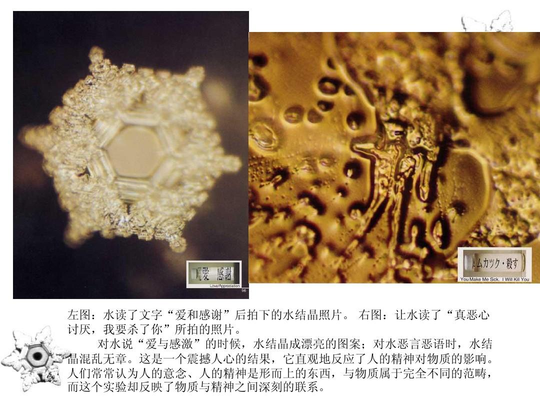 菁優網初中物理試題