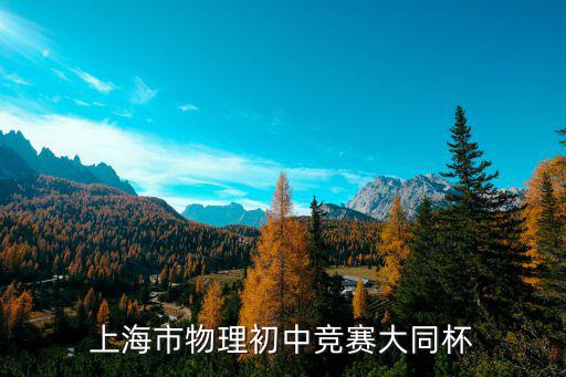上海市物理初中競(jìng)賽大同杯