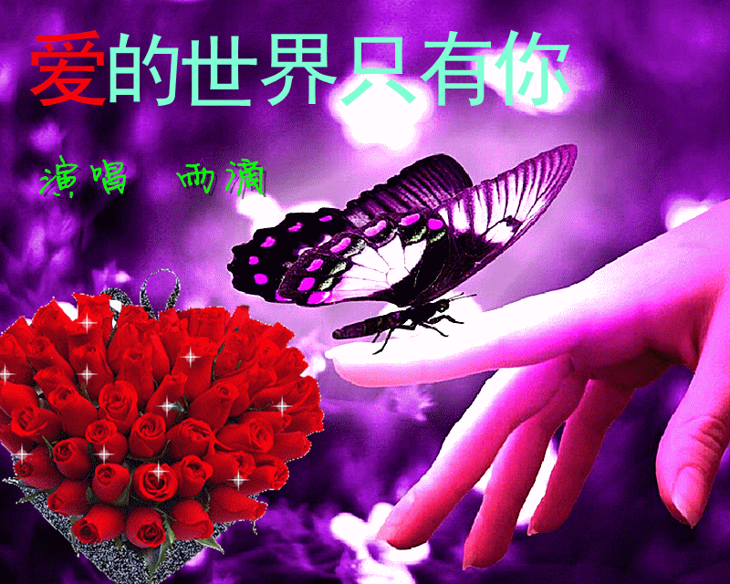 高中物理動態(tài)圖