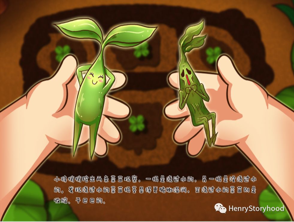 毛細管現象