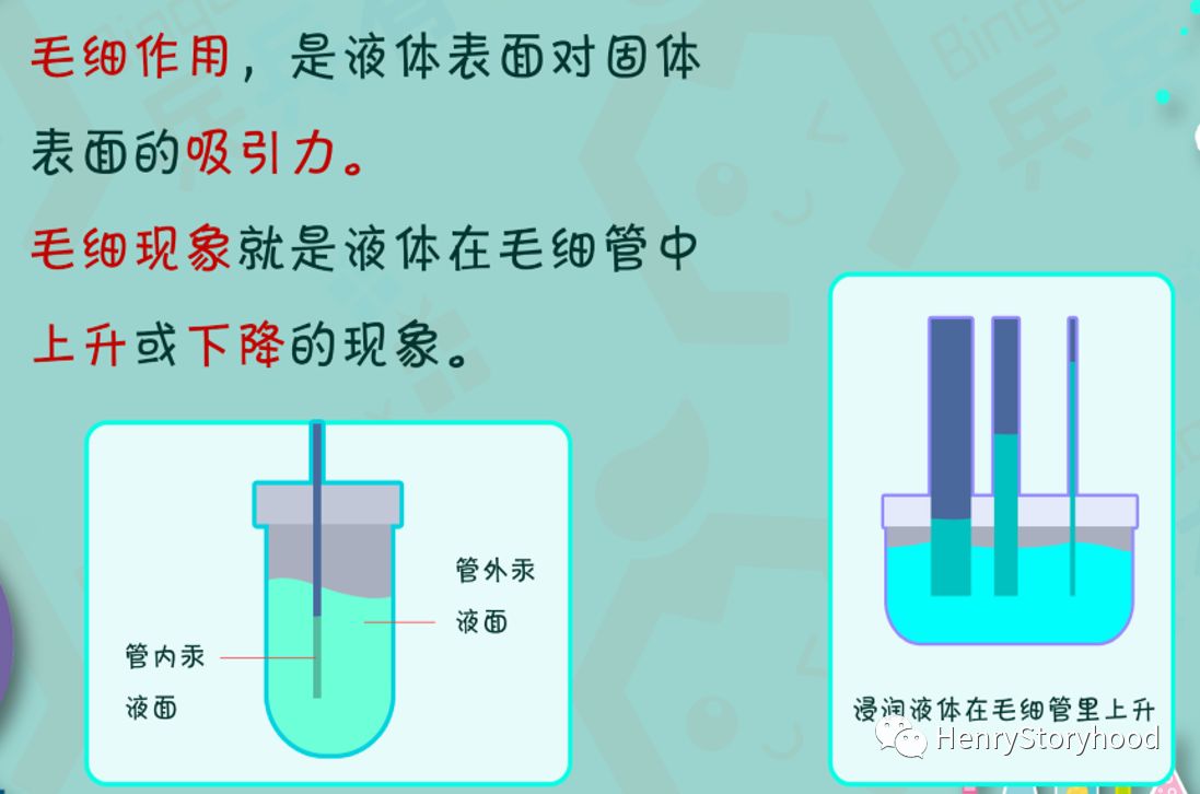 毛細管現象