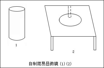 生活中常見的物理現象