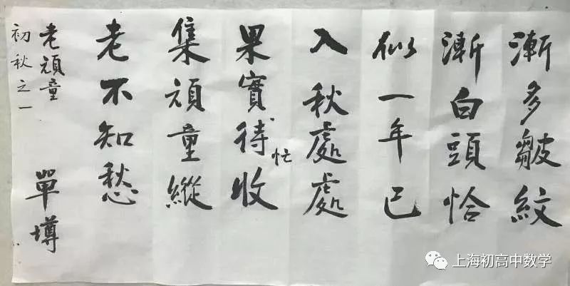21 世紀中國教育改革：數學家眼中的數學教育發展之路