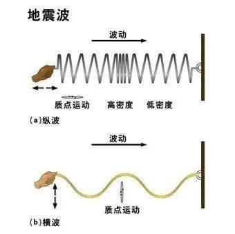 地震波的組成及特點：P 波、S 波和面波，你了解多少？