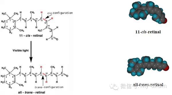 機械波和電磁波的區(qū)別