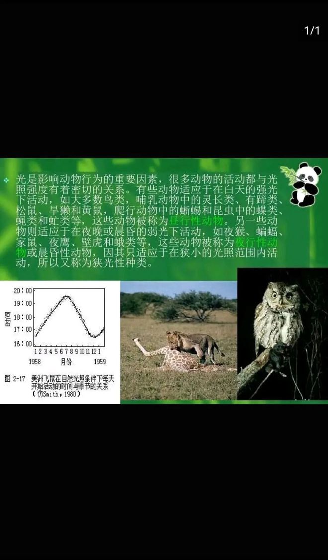 初中物理家庭小實驗：提升學生思維與核心素養的實踐探索