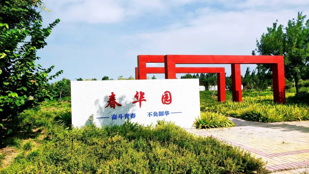 高青五中齊麗麗：24 年物理教學，用愛與科學引領學生成長