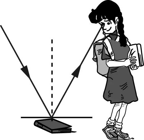 初中物理作圖專題