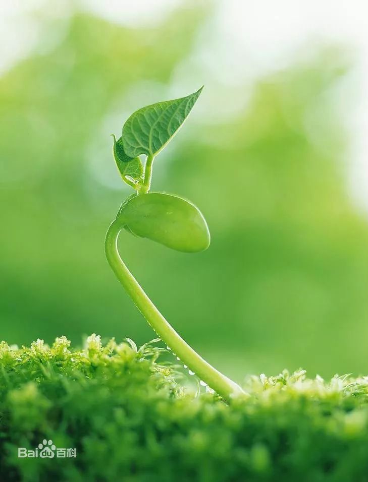 經(jīng)絡(luò)養(yǎng)生網(wǎng)：揉臍拍打拉筋自愈法，提升人體自愈力，健康一生