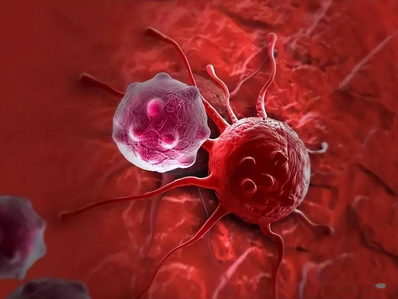 質子治療：原理、優勢與應用前景