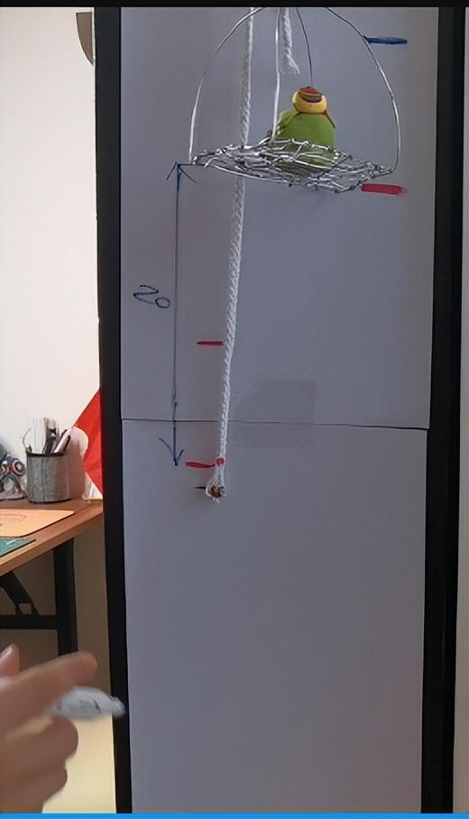 高中物理滑輪問題