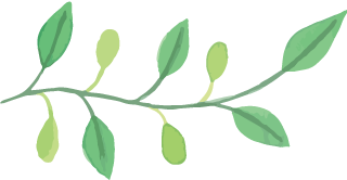 燈塔一高中物理