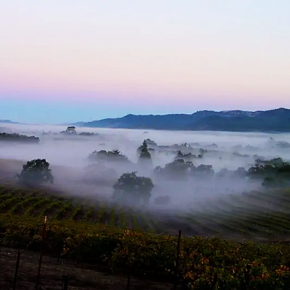 初中物理奇形怪狀