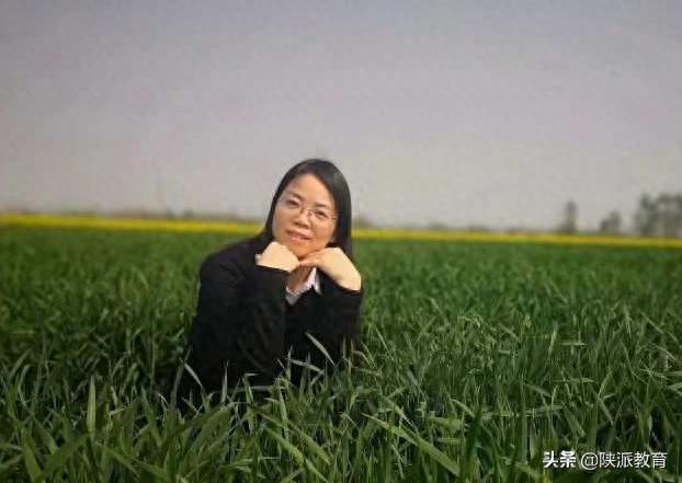 初中物理教資備考