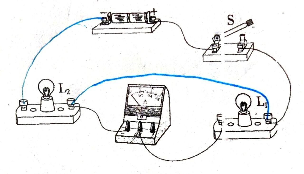 初中物理電路畫圖題